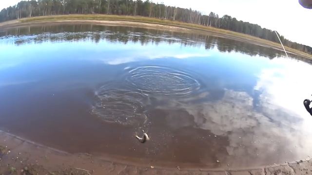 Здесь полно рыбы. Если не хочет клевать, будем багрить. смотреть онлайн