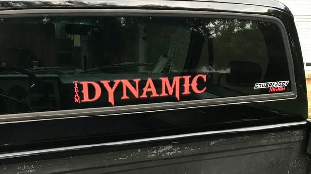 Dynamic Customs смотреть онлайн