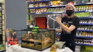 Мастер класс по оформлению террариума для пятнистого эублефара [ЗАПИСЬ СТРИМА]