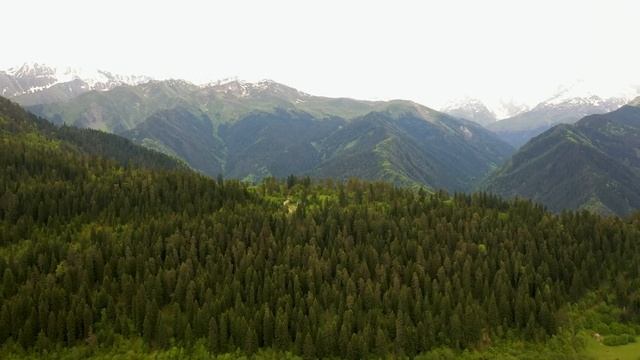 Фильмы о Любви и Романтике