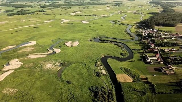 Отощавший рысёнок сидел на заборе и остервенело просил кушать, он не хотел уходить смотреть онлайн