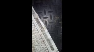 Форд Фокус 2019г не заводится, нет питания на бензонасос. Решено!