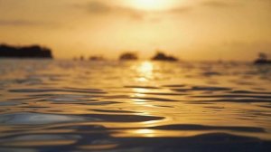 Сила Медитации: "#Медитация на Восстановления Энергии и Ресурсов: Гармония Тела и Души"