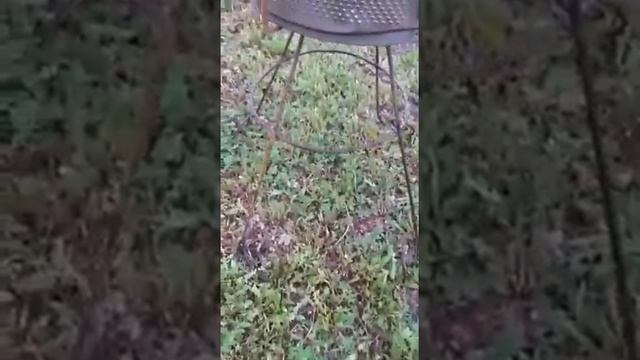 Мангал своими руками, из стиральной машины. смотреть онлайн