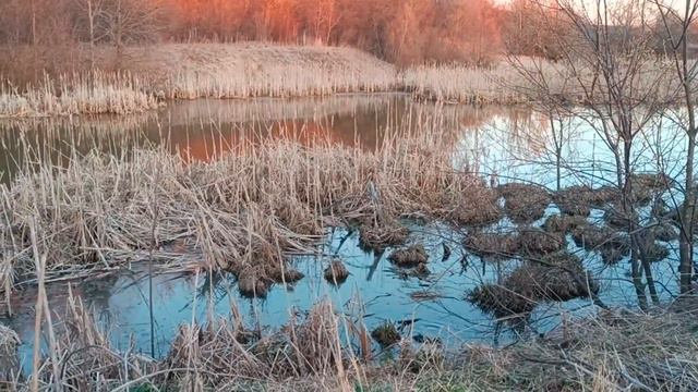 прогулка с ружьём смотреть онлайн
