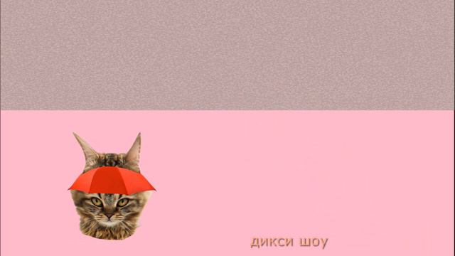 Котик Зонтик, Хаски Печенька, Лягушка Ватрушка, Крыска Крышка и Коала Пиала смотреть онлайн