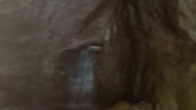 Грот Калипсо, дендрологический парк Софиевка. Умань, Черкасская область. смотреть онлайн