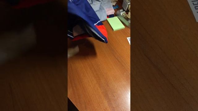 Лыжный гоночный комбинезон. Мотивация к покупке, обзор, сравнение. смотреть онлайн