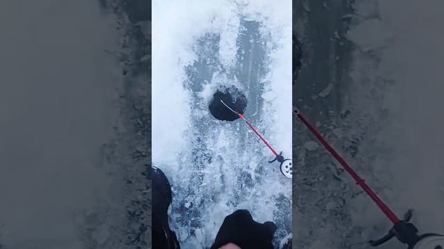 рыбалка на реке Воронеж смотреть онлайн