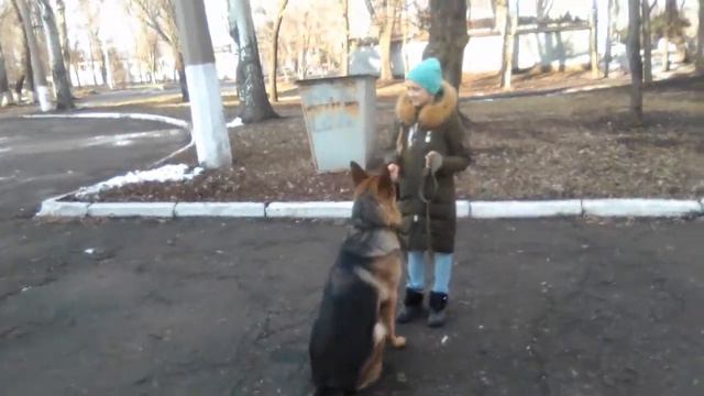 Юный Кинолог.петровский район смотреть онлайн