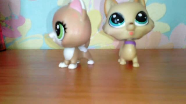 LPS: анекдоты /1серия/ ? смотреть онлайн