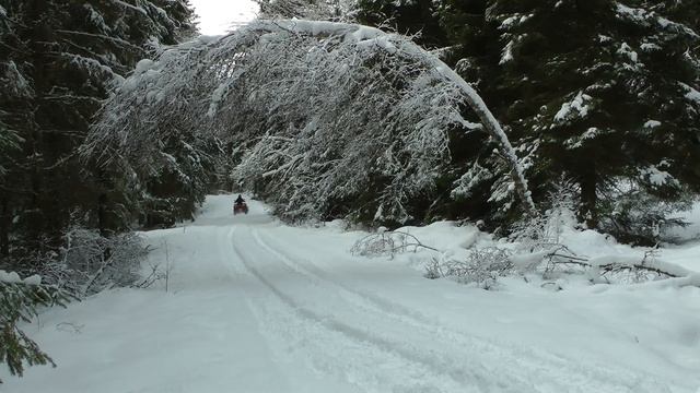 Snow driving (CF MOTO 450 L) смотреть онлайн