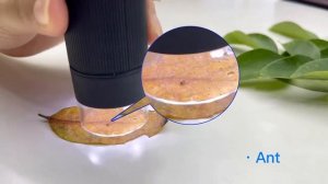 Цифровой микроскоп APEXEL