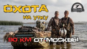 Охота на утку в Московской области