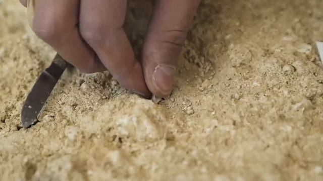 Они всё ещё с нами смотреть онлайн