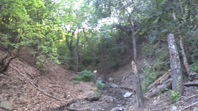 Алушта. Водохранилище в июле. Заброшенные лавандовые поля на закате дня смотреть онлайн