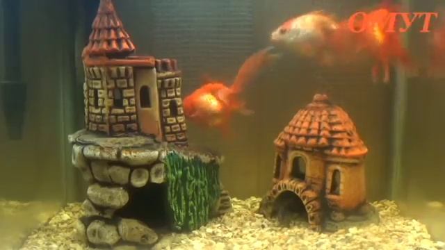 16 . КОМУ ОЧЕНЬ НУЖНО,ТОТ И ПОСМОТРИТ.... смотреть онлайн