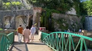 Абхазия + «Эвкалиптовая роща»