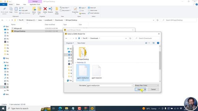 A Faster Windows Audio Transcription and Translation App Using Whisper AI Models and supports GPU смотреть онлайн