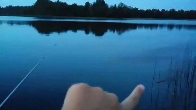 Вечерняя рыбалка на поплавок красными опарышами. смотреть онлайн