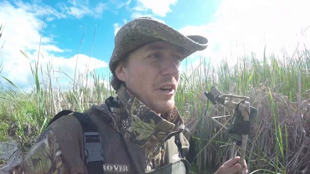 Гнездовой биотоп Сверчка соловьиного и других ценителей рогоза. Часть 2 смотреть онлайн