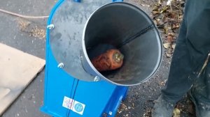 Видео обзор экспериментальной овощерезки (корморезки) от компании ООО "ГармТех".