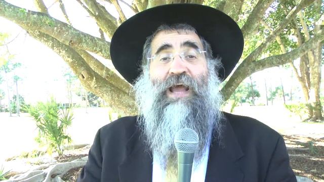 Rabbi Minkowicz's Weekly Torah Lesson Parsha Tetzaveh 2/4/14 смотреть онлайн