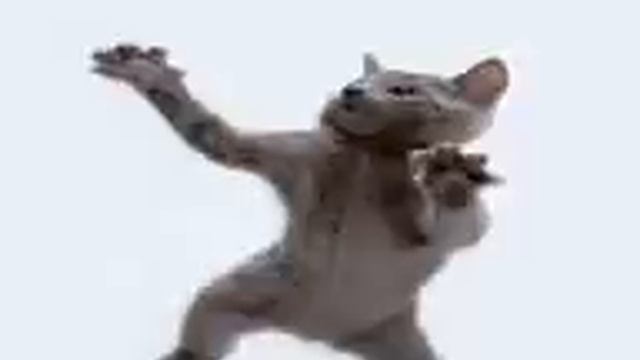 ТАНЕЦ КОТЯТ!!! смотреть онлайн