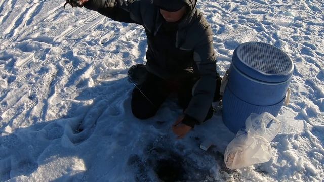 ЗИМНЯЯ РЫБАЛКА на реке Кон. Хороший клев щуки на зимние жерлицы. смотреть онлайн