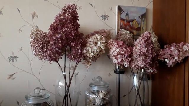 Яркое осеннее утро/Немного о гортензии. смотреть онлайн