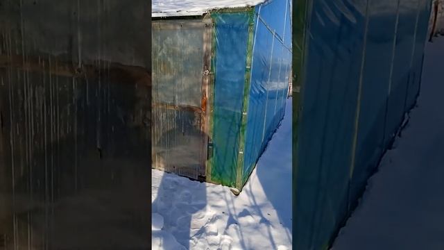 Мои теплицы смотреть онлайн