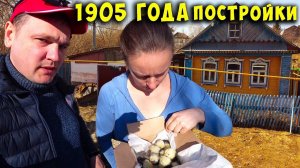 ЗАКОНЧИЛИ ЧИСТОВУЮ ОТДЕЛКУ В СТАРОМ ДОМЕ. КТО КУПИЛ ВСЕХ ЦЫПЛЯТ