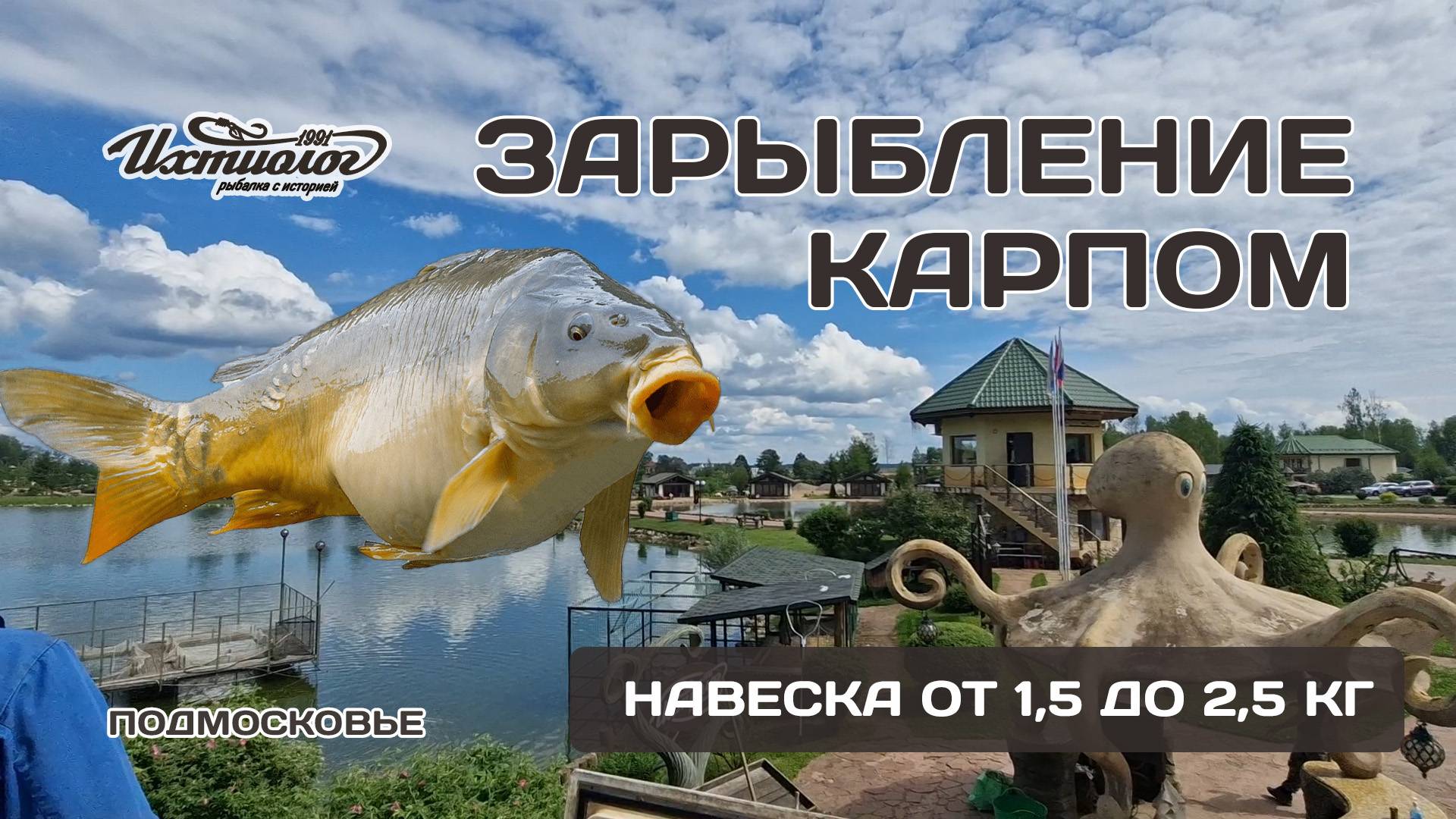 Зеркальный карп. Новости с водоема. Загородный клуб Ихтиолог смотреть онлайн