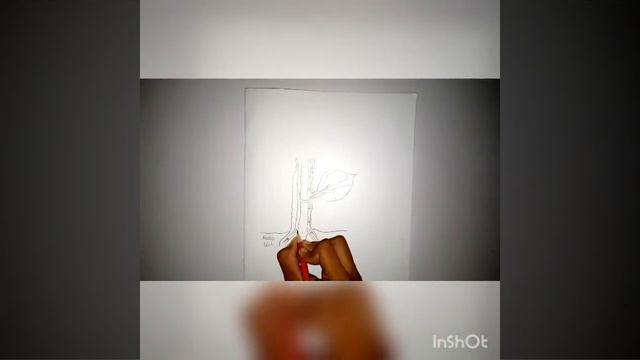 Sketch of Transportation of material in plants: Figure 1.9 смотреть онлайн