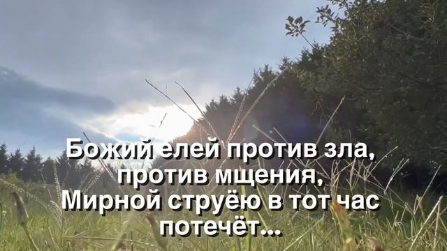 ЕСЛИ МЕНЯ ОГОРЧИЛИ… христианский стих (читает автор Анна Юркин) смотреть онлайн