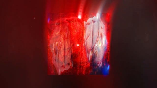 Discotronic - Tricky Disco (Slowed Tiktok Version)