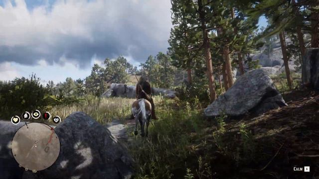 Wild American Paint location RDR2 смотреть онлайн