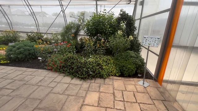 Butterfly House Update June 2023 смотреть онлайн