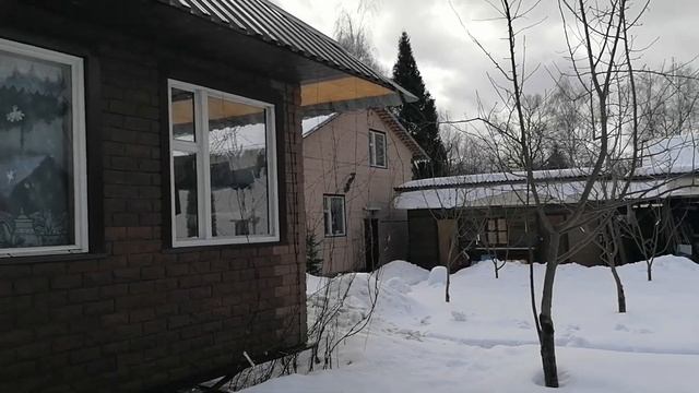 Снег на даче сильно осел. Кормушки, гнездо и привитая ветка на сосне. Март 2023 смотреть онлайн