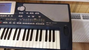korg pa 800 styles
