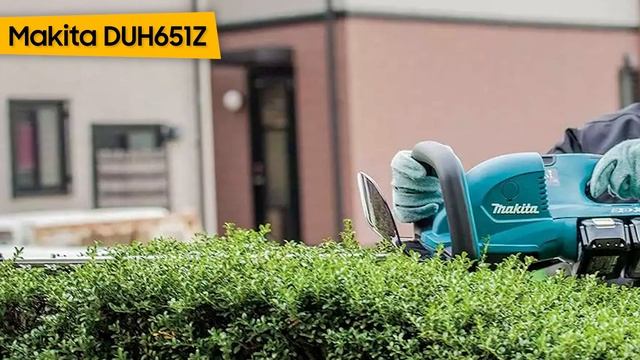 TOP-7. Die besten Akku-Heckenscheren. Test & Vergleich 2023 | Deutsch смотреть онлайн