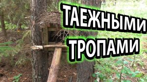 Капкан на барсука и фотоловушка Подготовка к промыслу