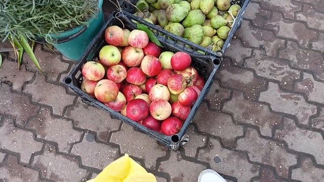 VLOG:?СХОДИЛИ в БАССЕЙН/ ГОТОВЛЮ РЫБНЫЙ СУП/ НА УЛИЦЕ ПОТЕПЛЕЛО/ ЗАКАЗ с ФАБЕРЛИК смотреть онлайн