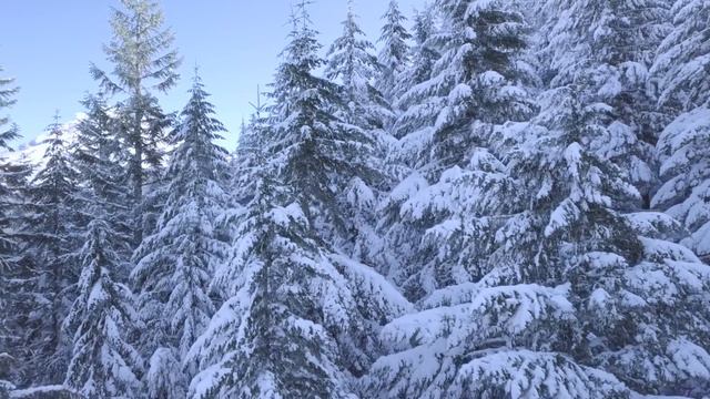 💖💖 Короткая МОЛИТВА К БОГУ 🙏🏻🕊️ смотреть онлайн