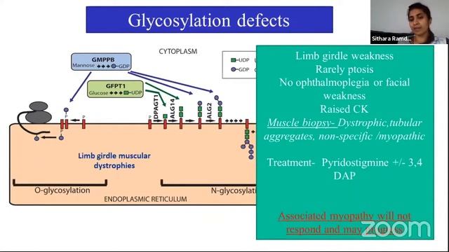 Congenital Myasthenic Syndromes - an update смотреть онлайн