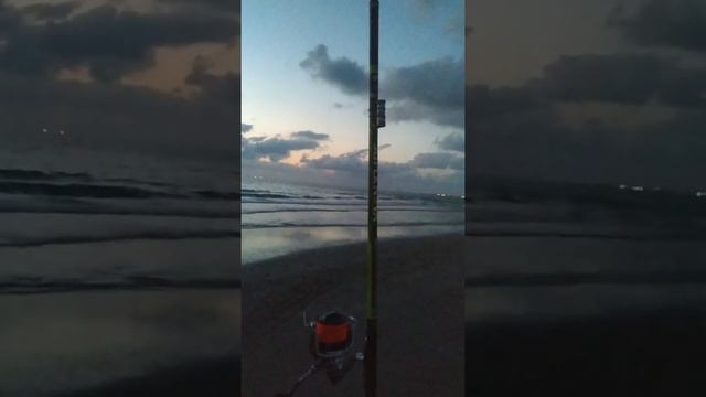 Сигнализатор Для Сёрфа Сойка 5 смотреть онлайн