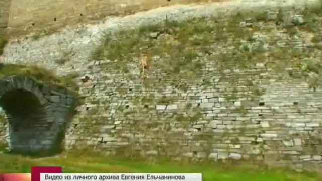 Пёс паркурист!!!))) смотреть онлайн