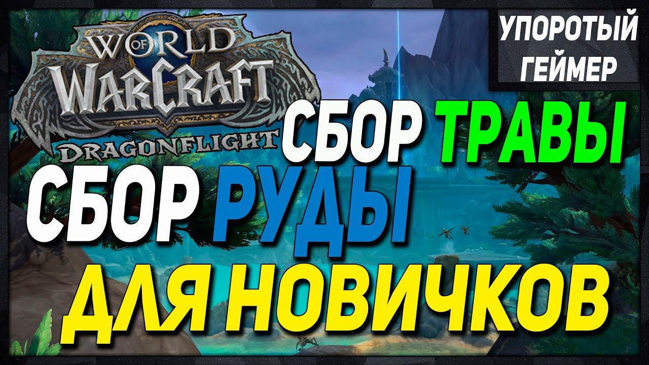 ГАЙД по сбору руды и травы! [World of Warcraft] [Dragonflight] смотреть онлайн