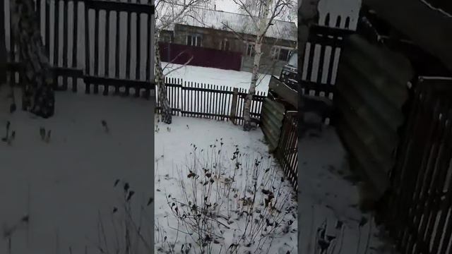 Красота природы это зима первое время года смотреть онлайн