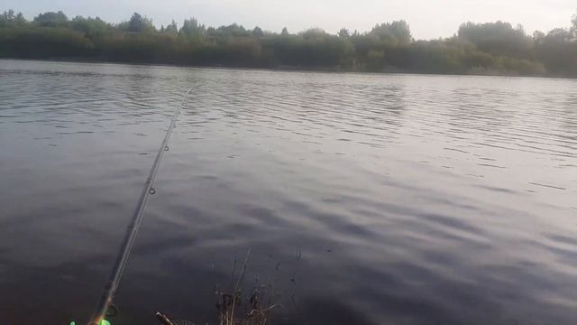 ДУМАЛ, ЧТО КЛЁВА НЕ БУДЕТ, НО ПОТОМ! Ловля леща весной. Рыбалка на фидер. Рыбалка в Нижнем Новгород смотреть онлайн